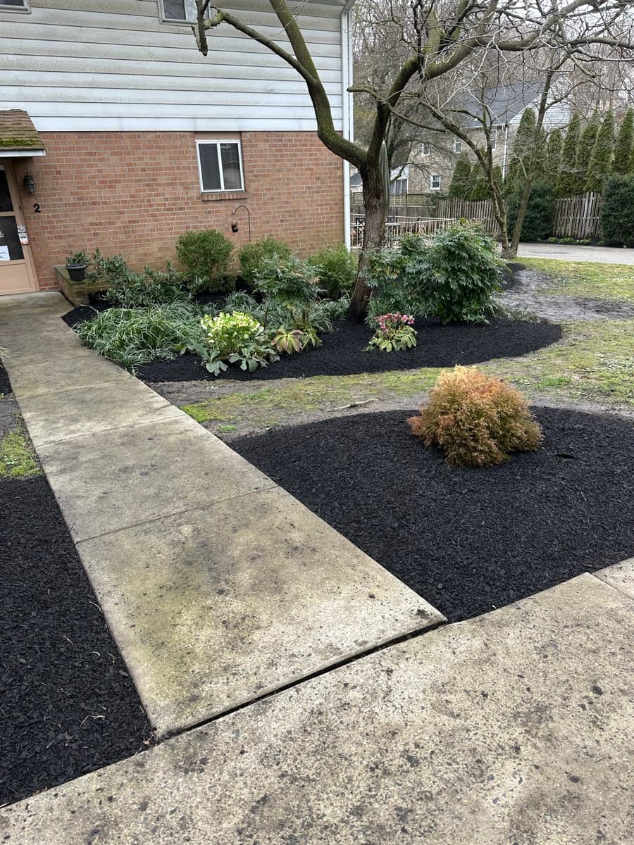 T&O Landscaping completed work